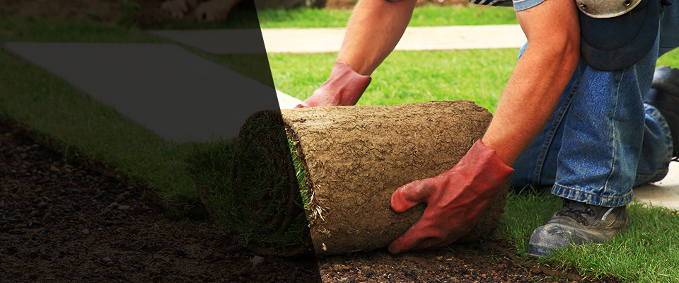 Lake Bluff Landscapers